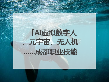AI虚拟数字人、元宇宙、无人机……成都职业技能大赛启动