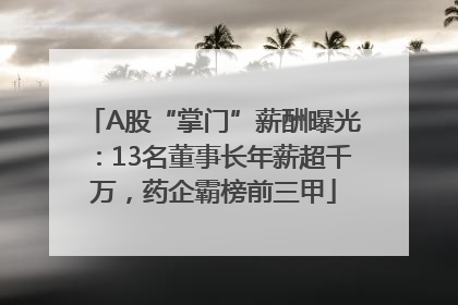 A股“掌门”薪酬曝光：13名董事长年薪超千万，药企霸榜前三甲