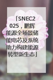 SNEC2025，鹏辉能源全场景储能电芯及系统助力构建能源转型新生态